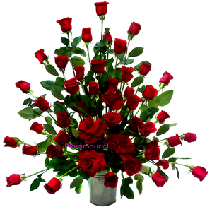 Arreglo clÃƒÂ¡sico y elegante de impacto visual 40 rosas de primera selecciÃƒÂ³n.(Disponible sÃƒÂ³lo dentro de Santiago de Chile) Si desea cambiar de color de rosas, por favor consulte disponibilidad para esta promociÃƒÂ³n. (562) 22341793 (24 hrs)